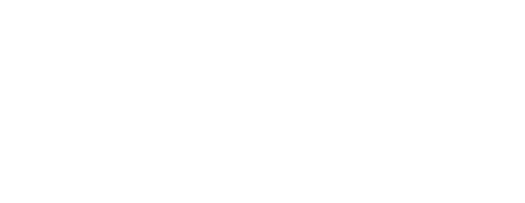 Visionix